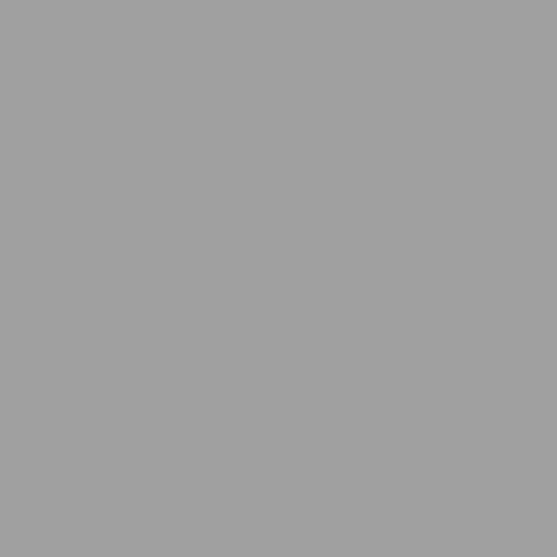 Touch Up Paint 4 oz Ash Gray - Akron