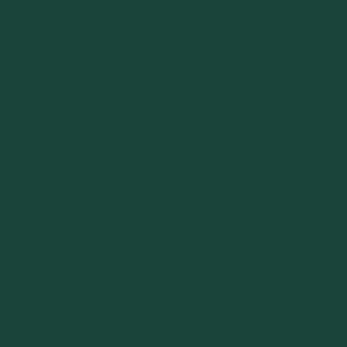 Touch Up Paint 4 oz Dark Green - Akron